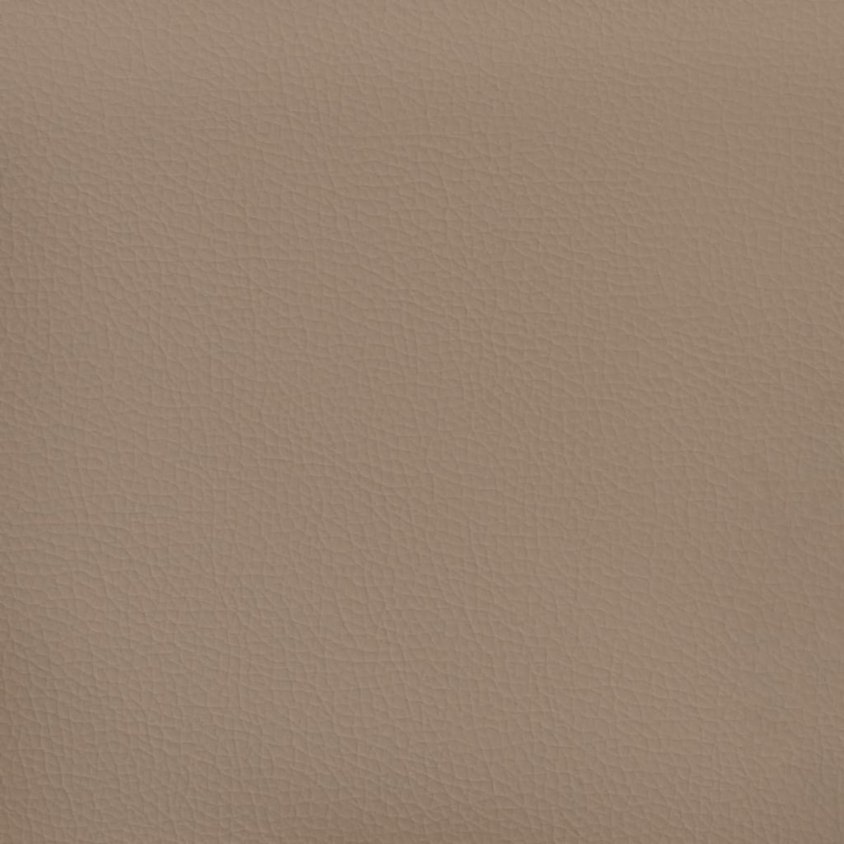 2-Seater Faux Leather Sofa G606