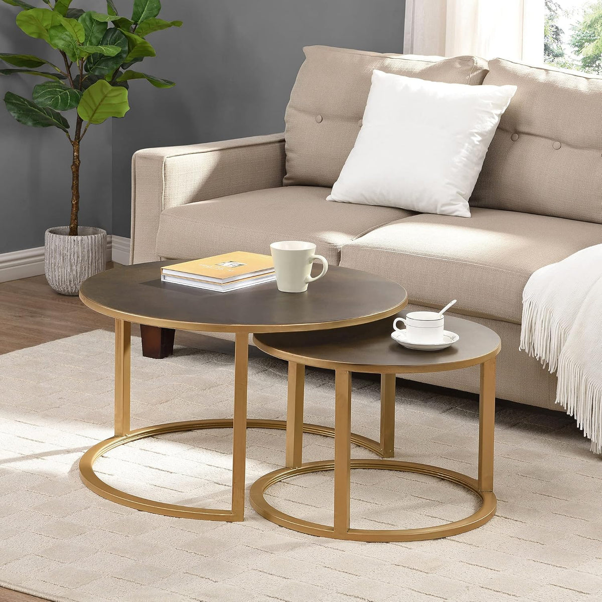 Silver Nesting Coffee Table 2-Piece Set V837