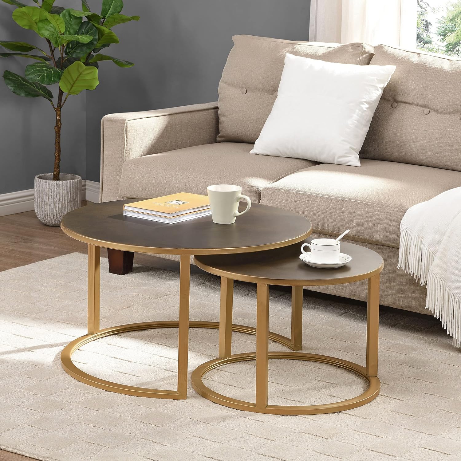 Silver Nesting Coffee Table 2-Piece Set E62675