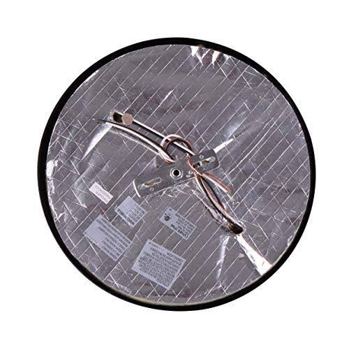 2 Light Flush Mount Black R8890