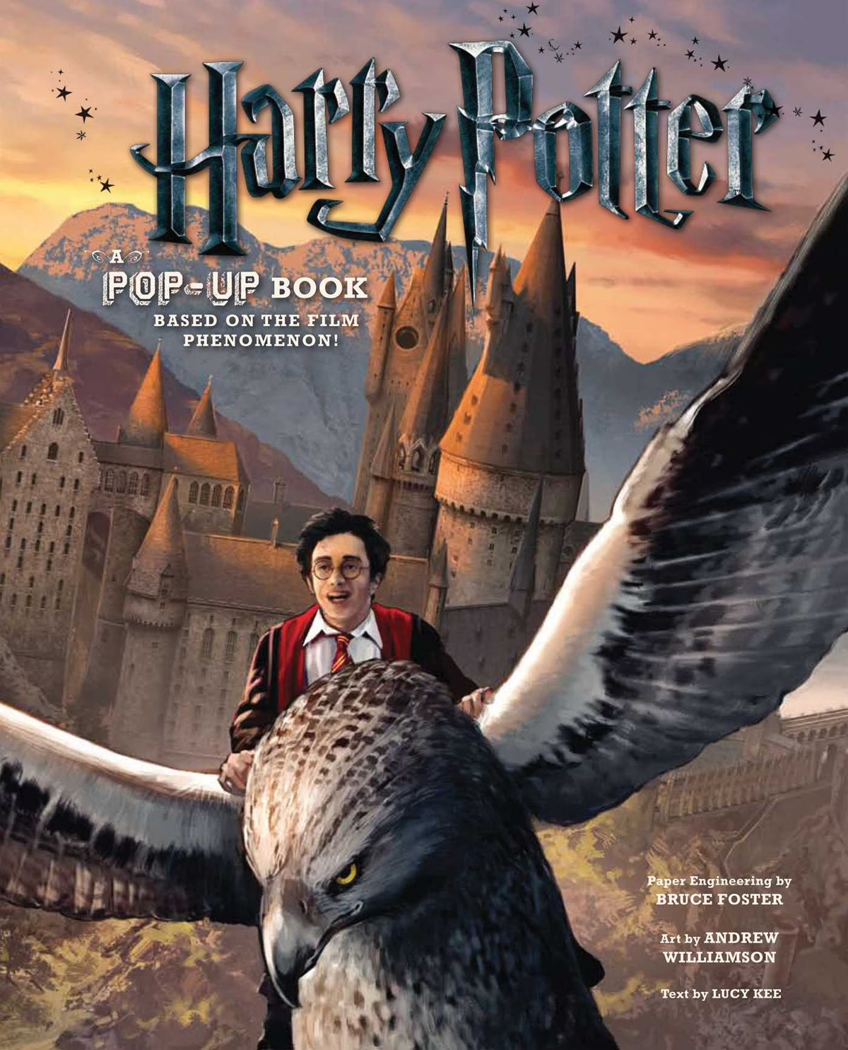 Pop-Up Book N928297