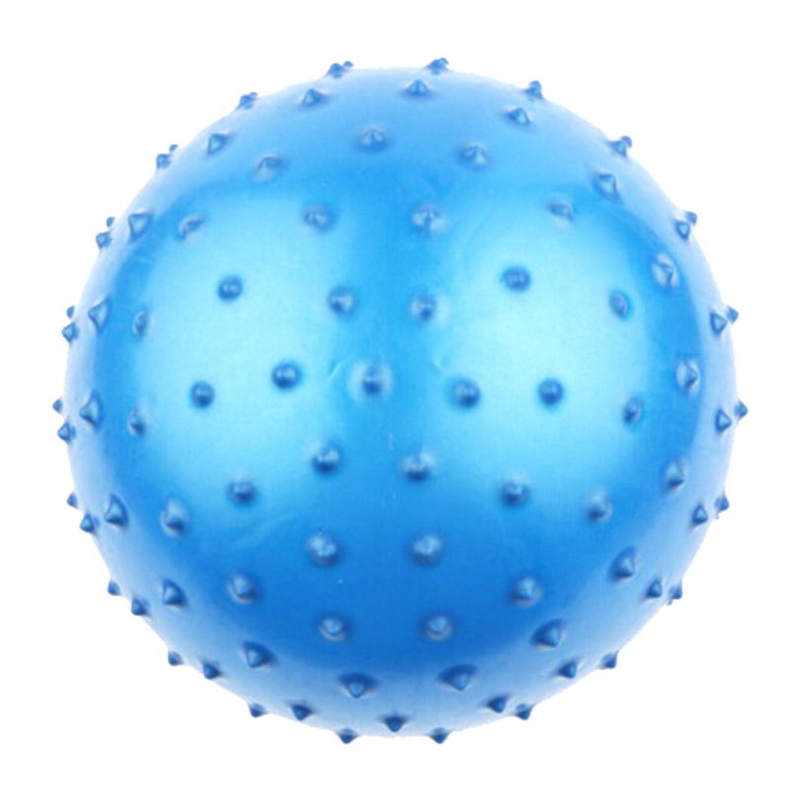Inflatable Ball Rubber Toy R2075