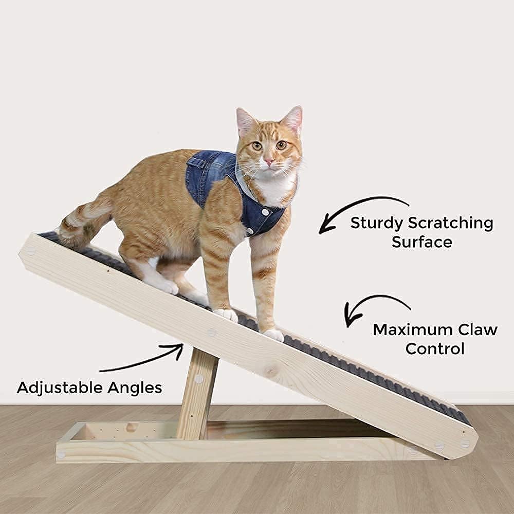 2-in-1 Cat Ramp & Cat Scratcher with Replaceable Carpet & Adjustable Height W473465