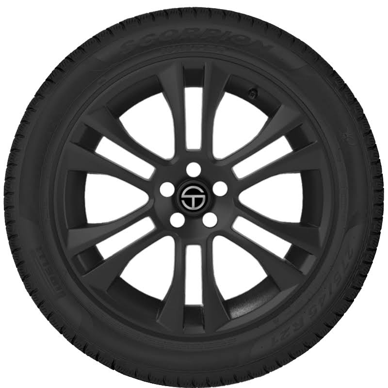 295/40R20 106V Winter Tire R5415