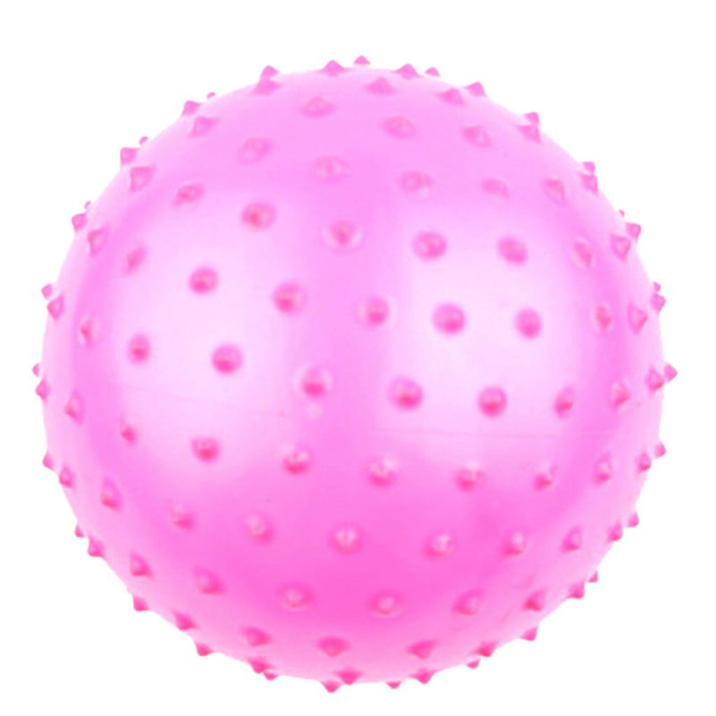 Inflatable Ball Rubber Toy R2075