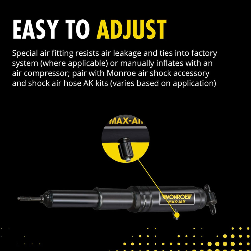 Shock Absorber Pack of 2 C68845
