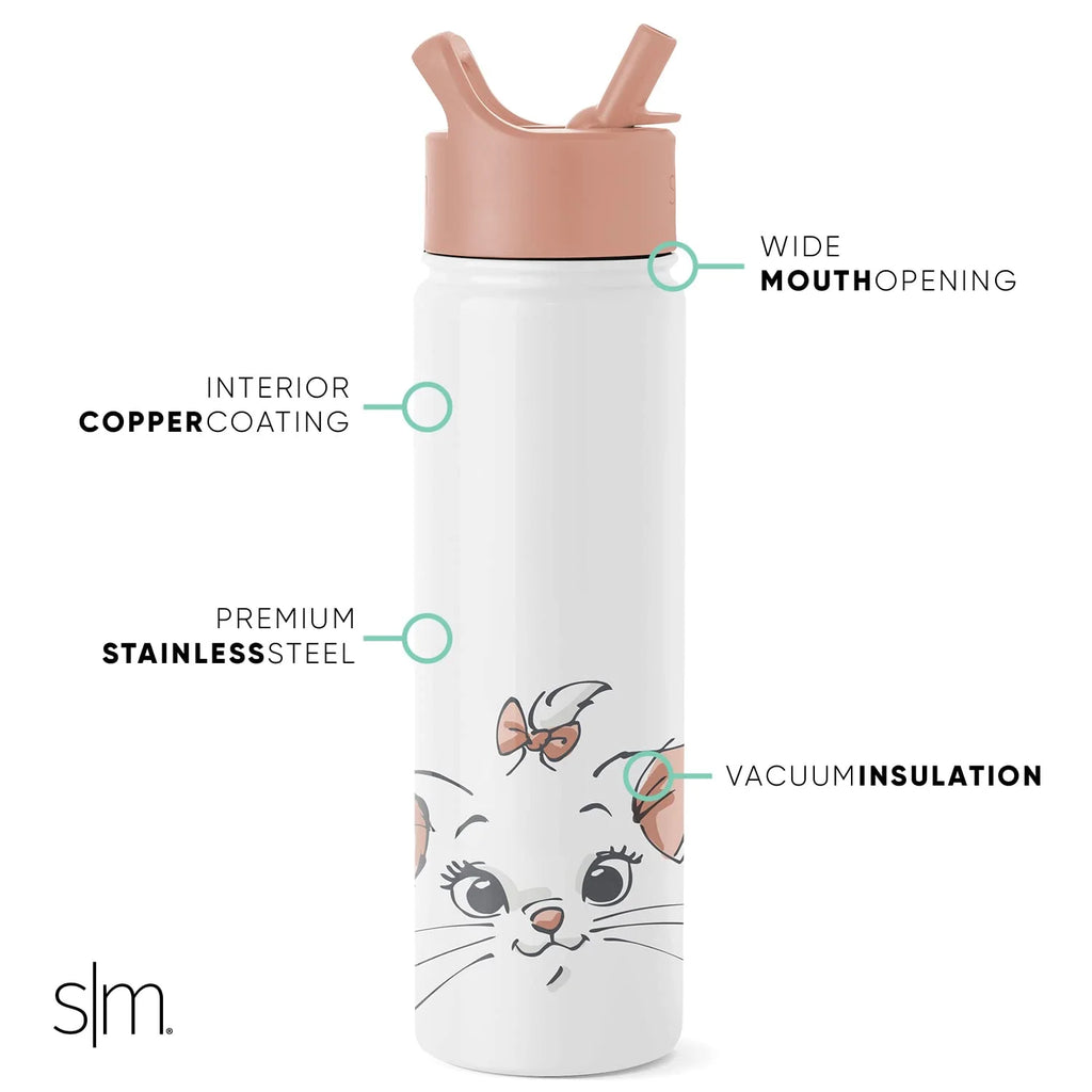 Disney Aristocats 22oz Stainless Steel Water Bottle with Straw Lid Q3694