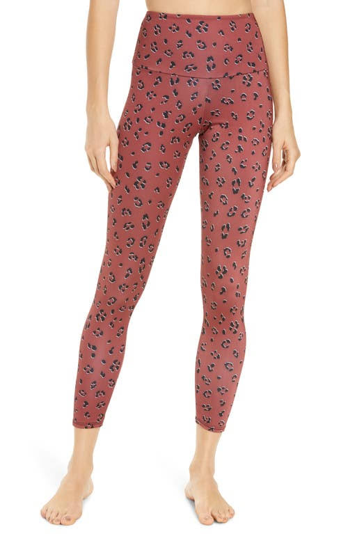 High Rise Capris, Size Medium in Lady Leopard O57554