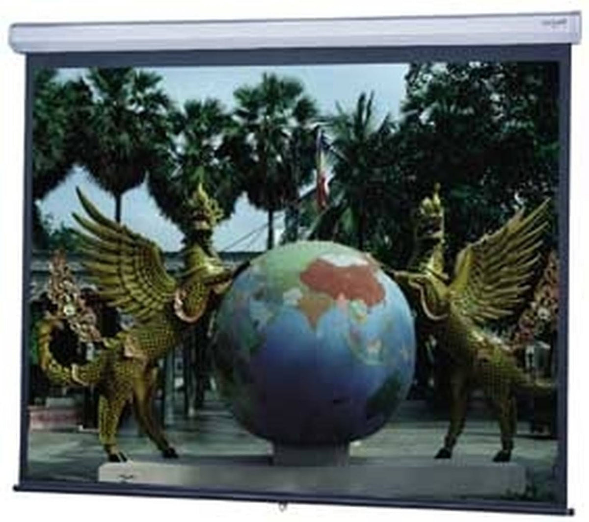 Projection Screen P61066