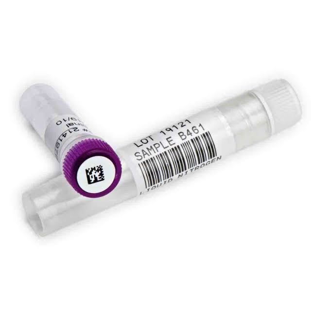 White Blank Polyester Label Y395716