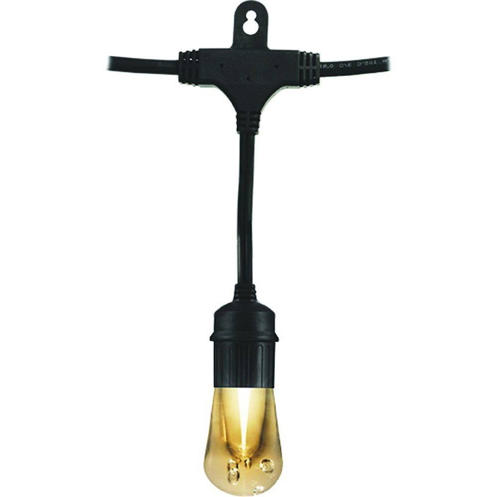 Vintage Edition String lights - LED - warm white light - 2200 K (pack of 24) Q4570