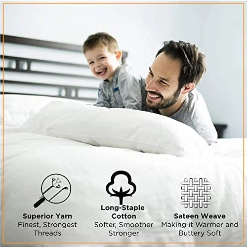 1000 Thread Count Egyptian Cotton Fitted Sheet Plum Solid H7446