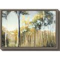 Canvas Art Framed Aspen Reverie P684868