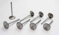 Intake Valve I981