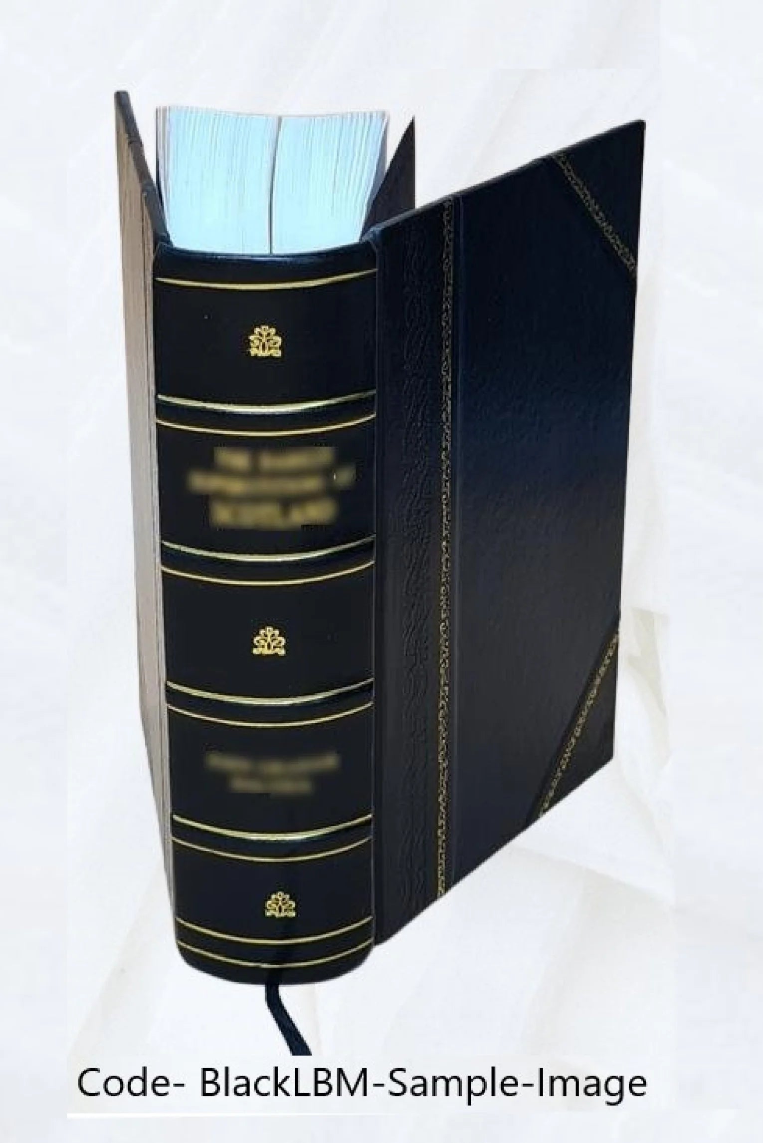 A dictionary of the Spanish and English languages in four volumes T223