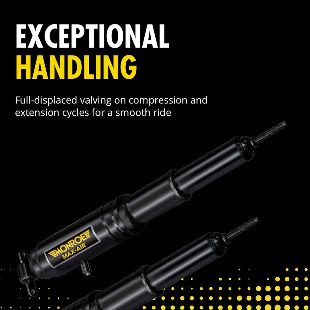 Shock Absorber Pack of 2 C68845