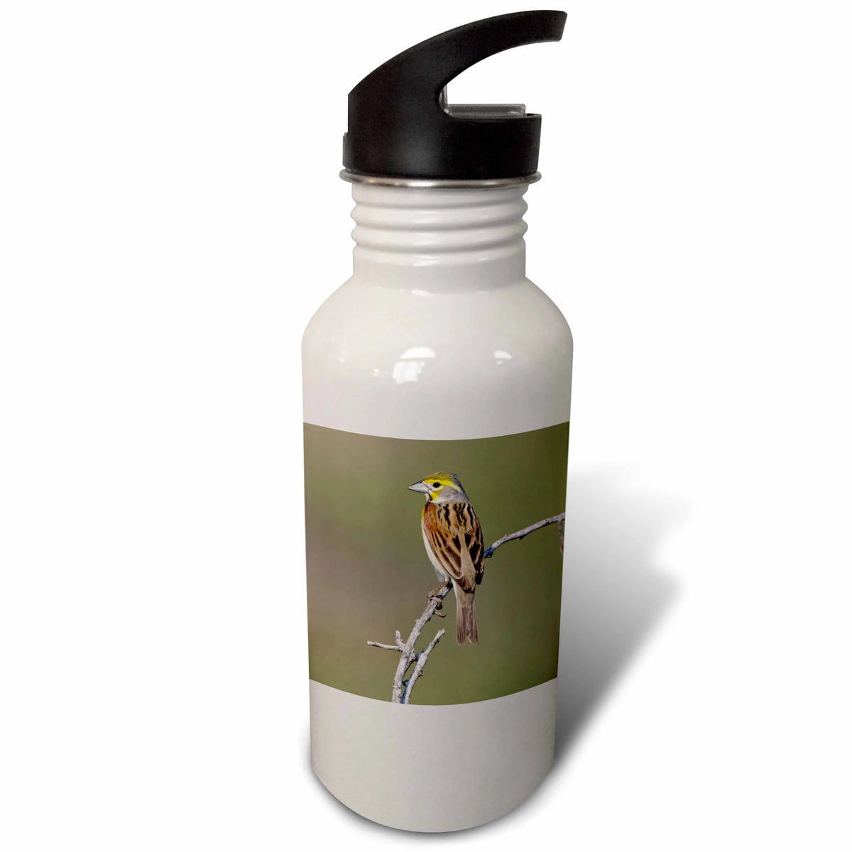 21 oz Sports Water Bottle A925574