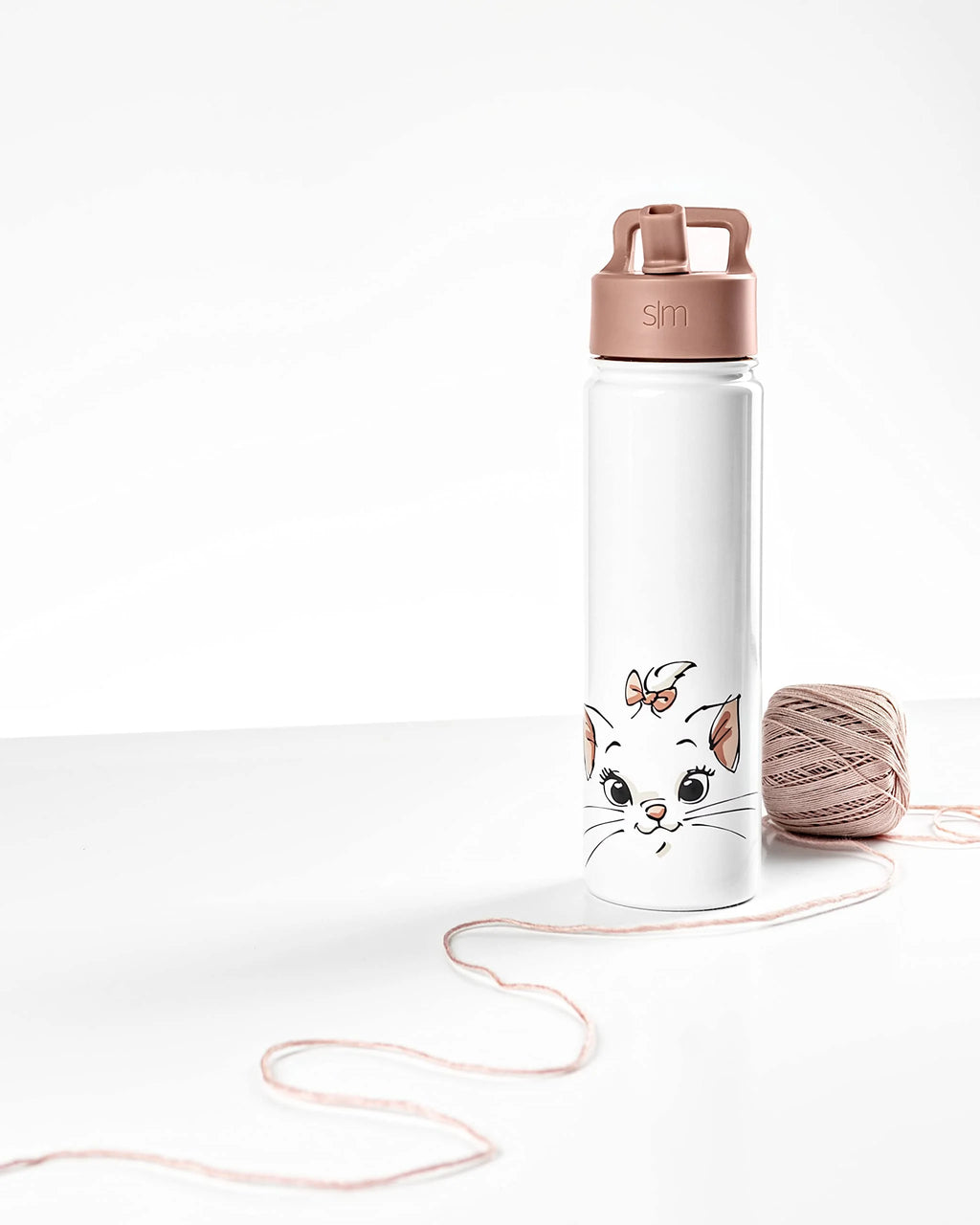 Disney Aristocats 22oz Stainless Steel Water Bottle with Straw Lid Q3694
