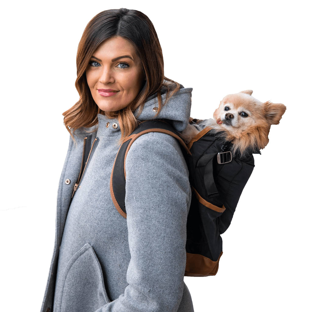 Black Medium Dog Carrier U180157