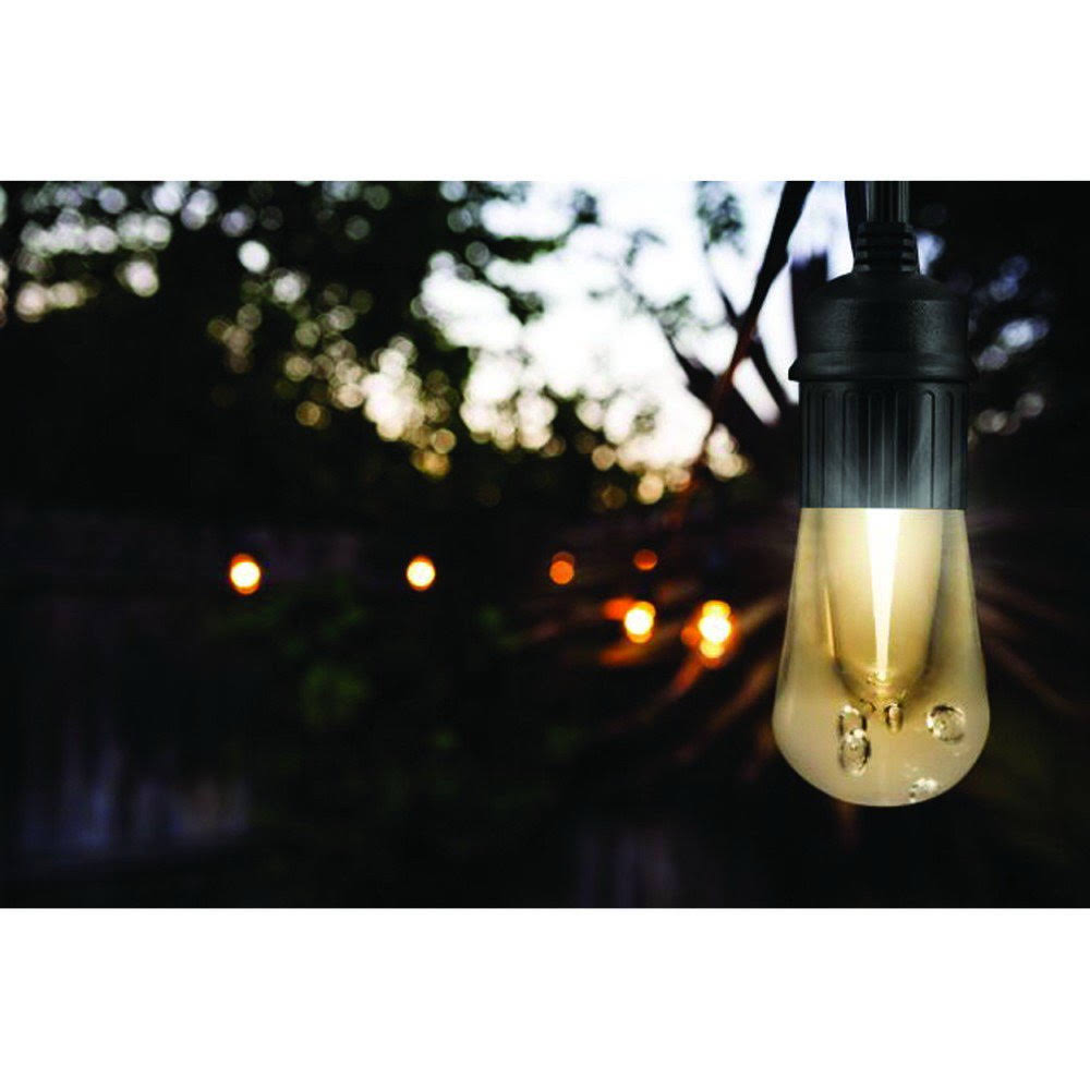 Vintage Edition String lights - LED - warm white light - 2200 K (pack of 24) Q4570