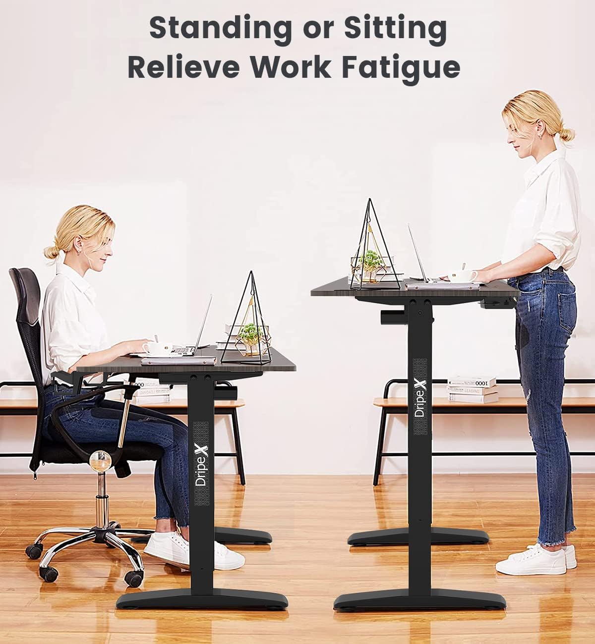 62x30 inch Electric Adjustable Standing Desk F89120