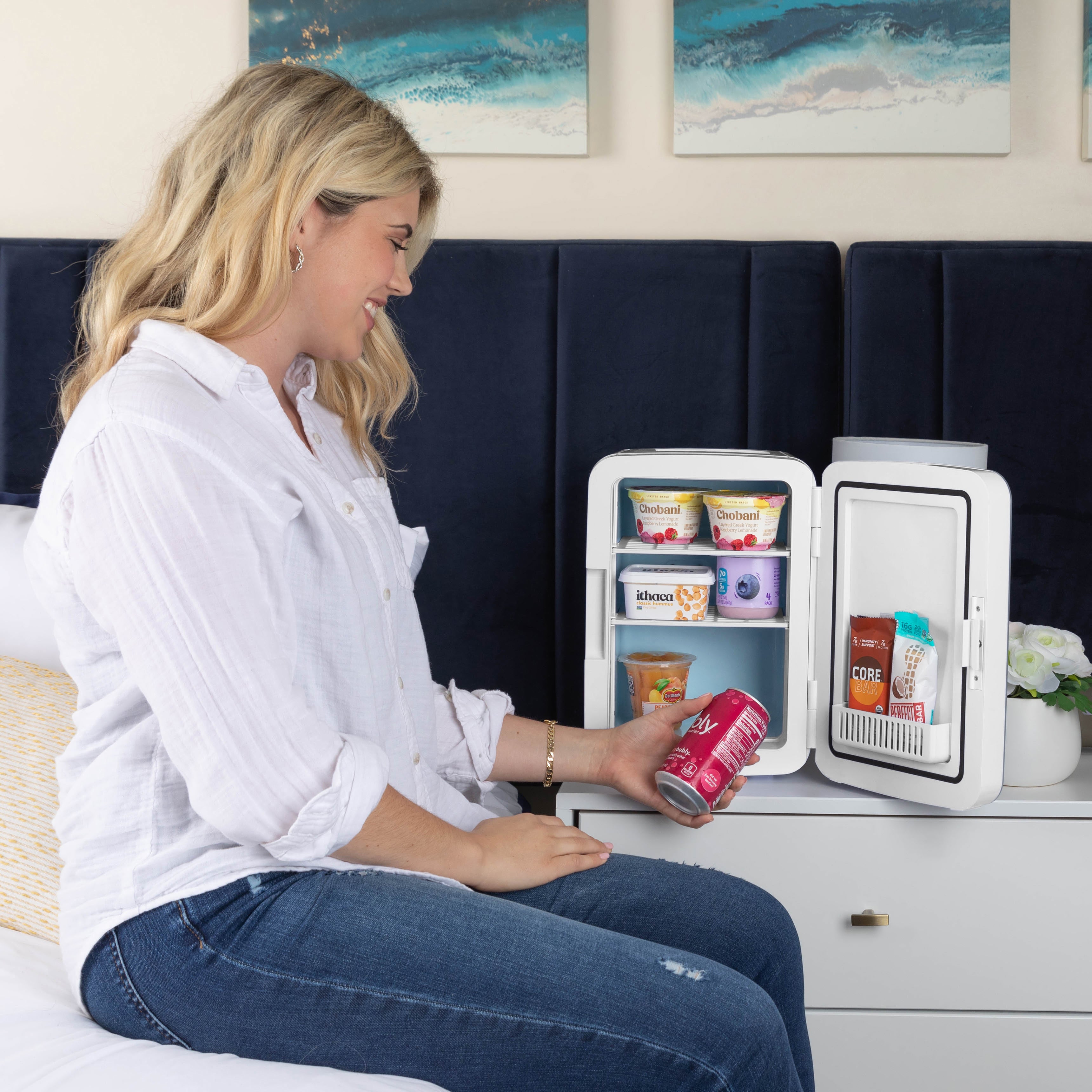 Compact Portable Cooler Warmer Mini Fridge Y5760