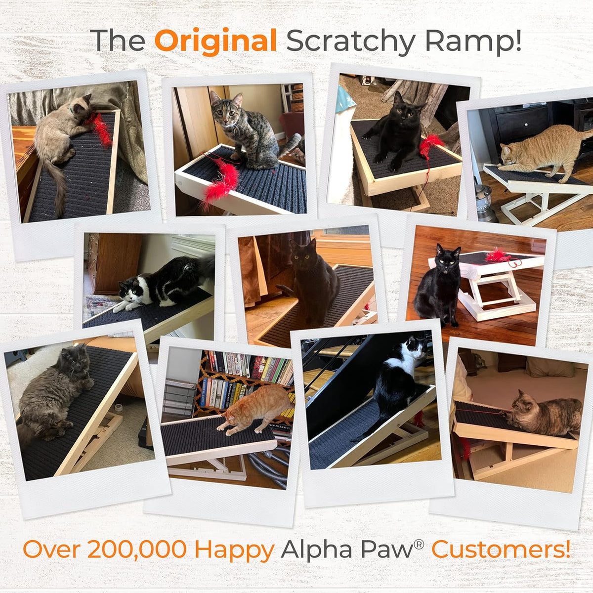 2-in-1 Cat Ramp & Cat Scratcher with Replaceable Carpet & Adjustable Height W473465